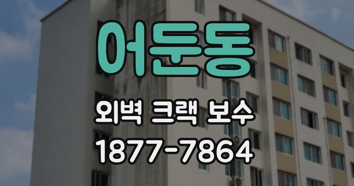 어둔동 외벽 크랙 보수