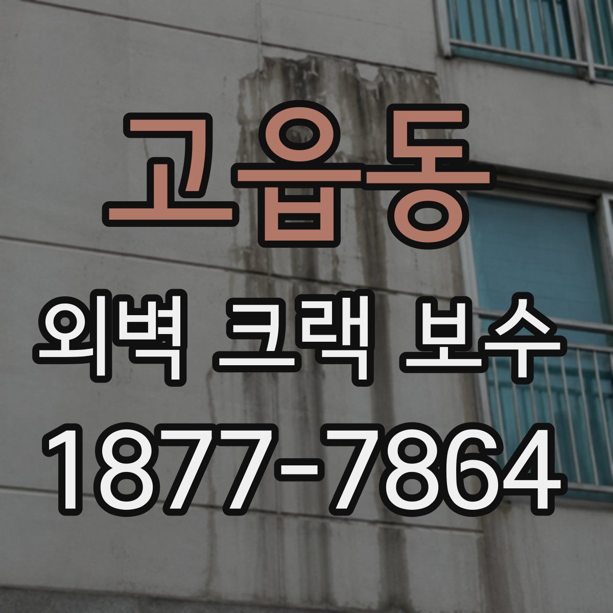 고읍동 외벽 크랙 보수