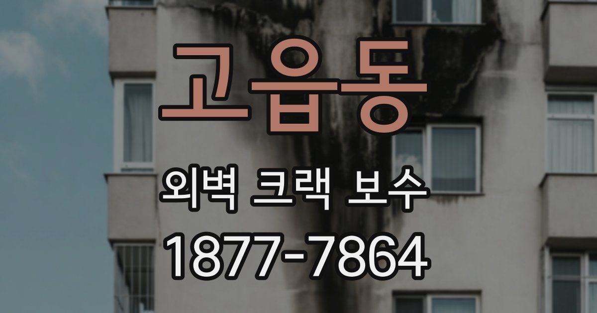 고읍동 외벽 크랙 보수