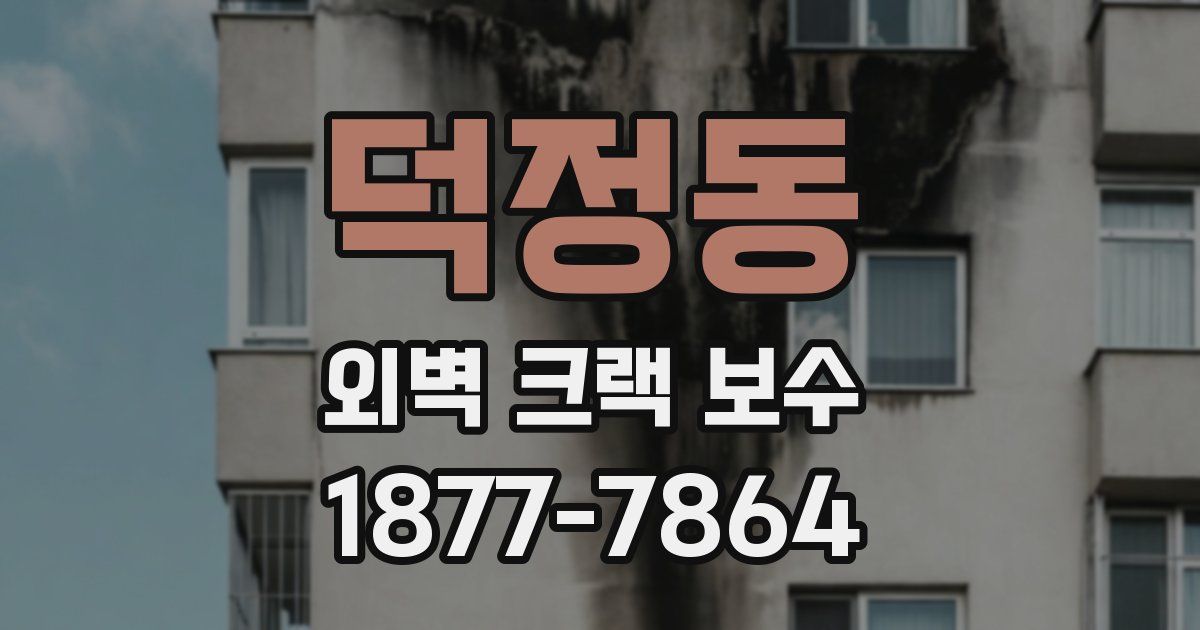 덕정동 외벽 크랙 보수