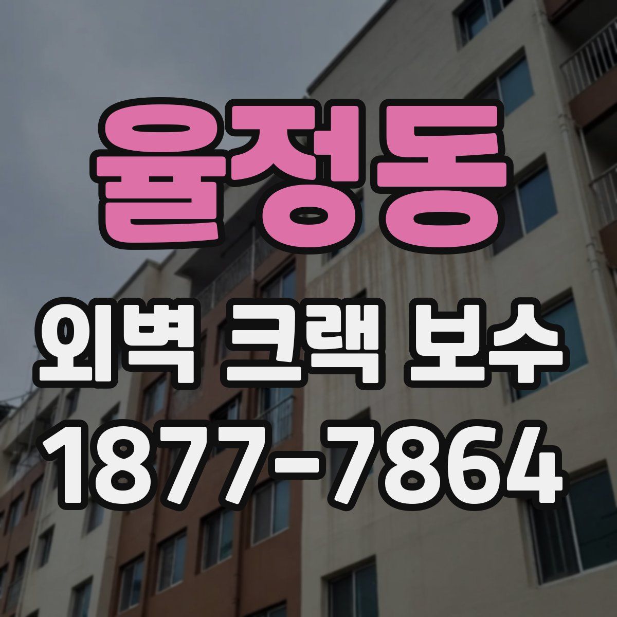 율정동 외벽 크랙 보수