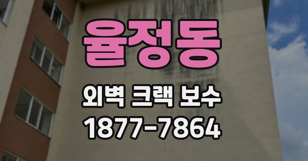 율정동 외벽 크랙 보수