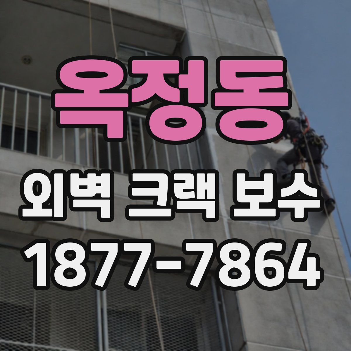 옥정동 외벽 크랙 보수