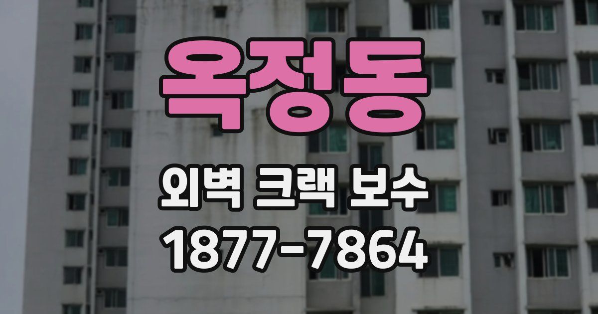 옥정동 외벽 크랙 보수