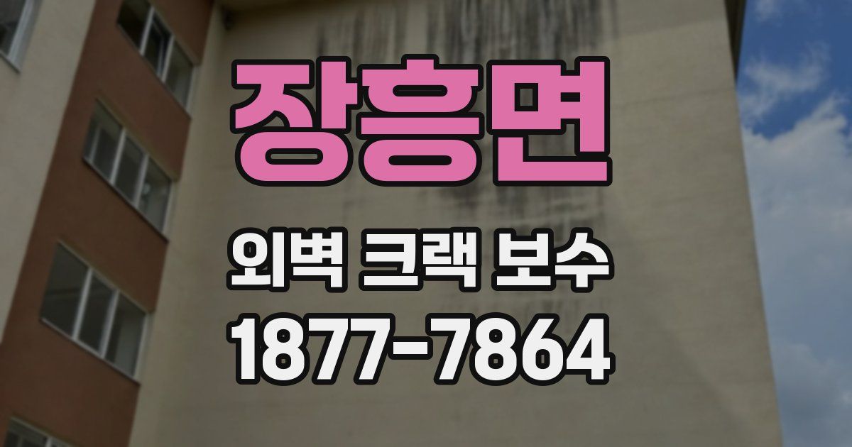장흥면 외벽 크랙 보수