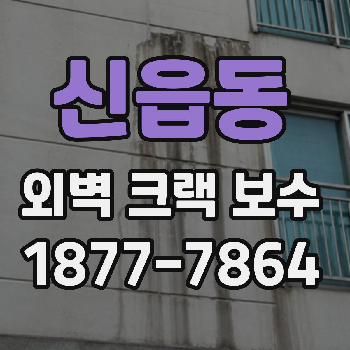신읍동 외벽 크랙 보수
