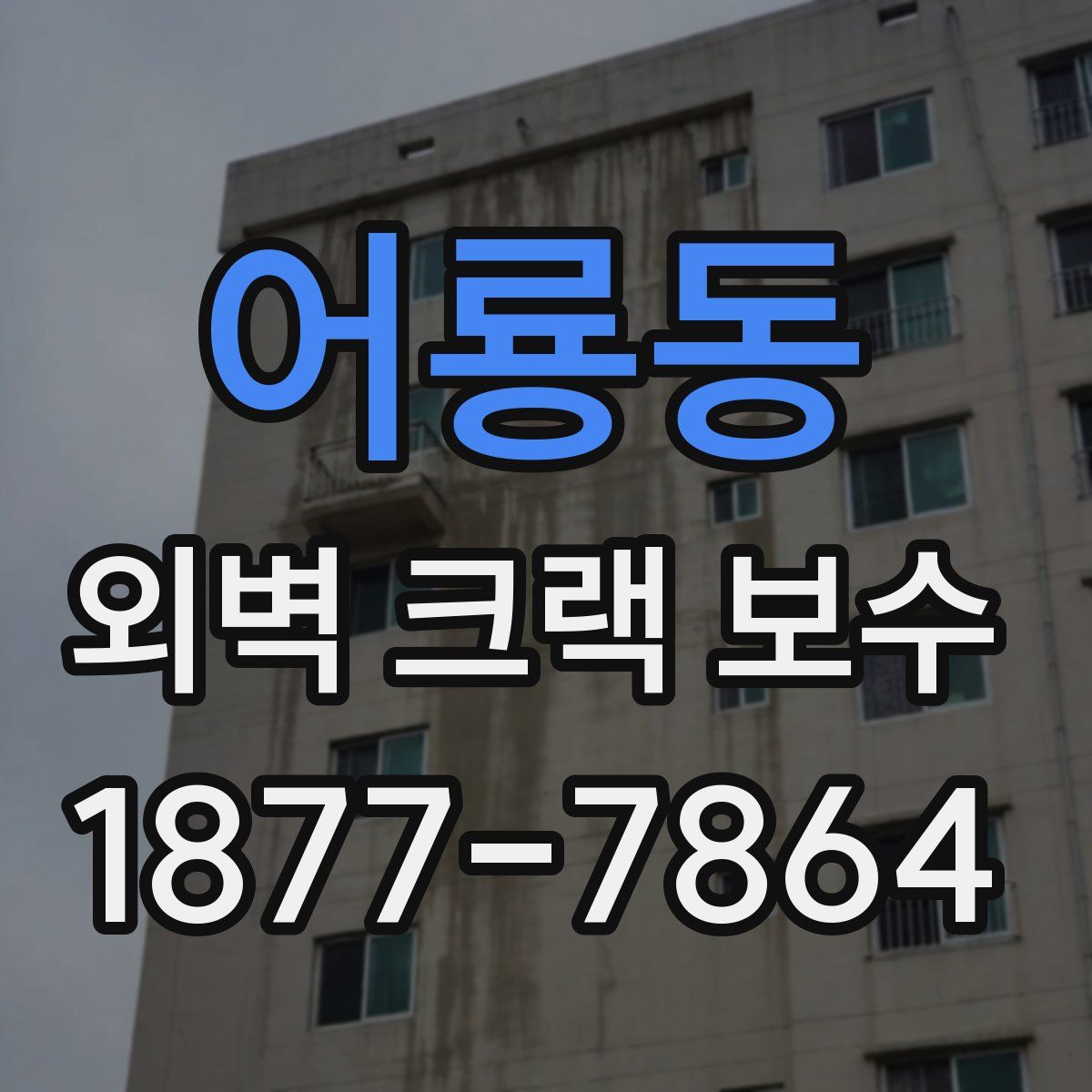 어룡동 외벽 크랙 보수