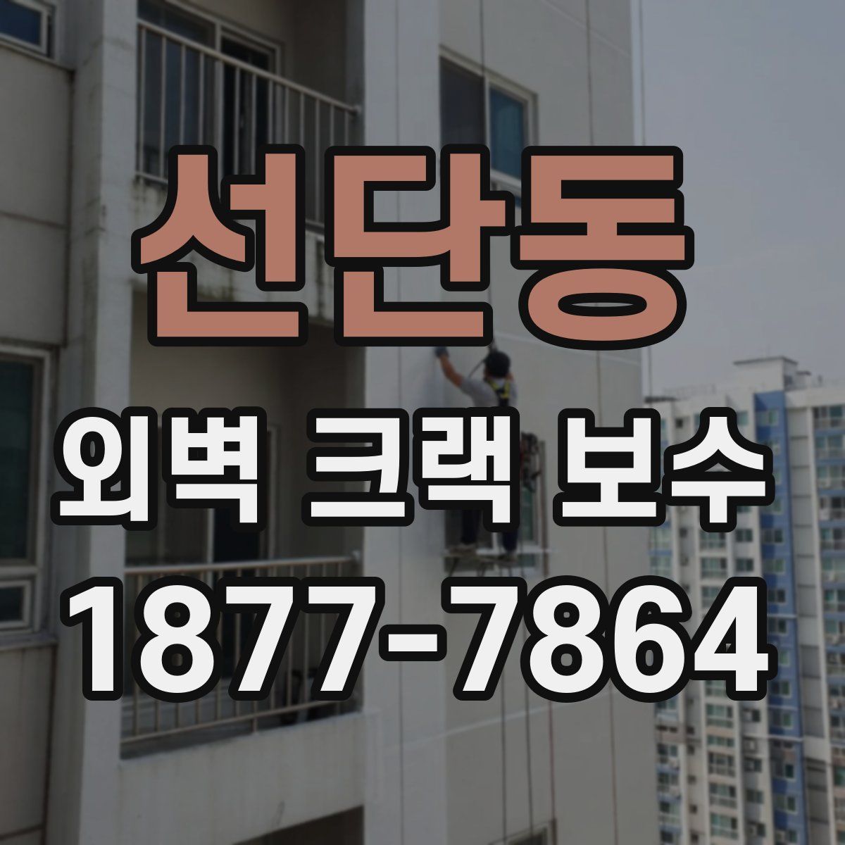 선단동 외벽 크랙 보수