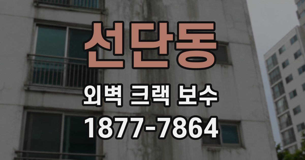 선단동 외벽 크랙 보수