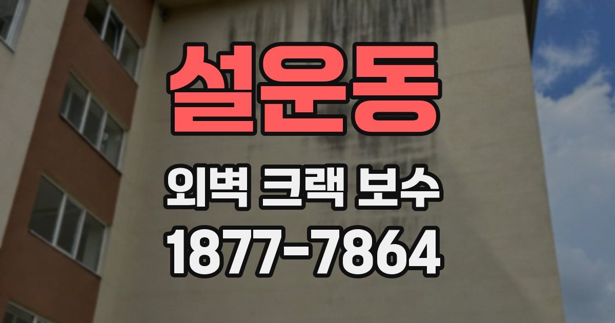 설운동 외벽 크랙 보수
