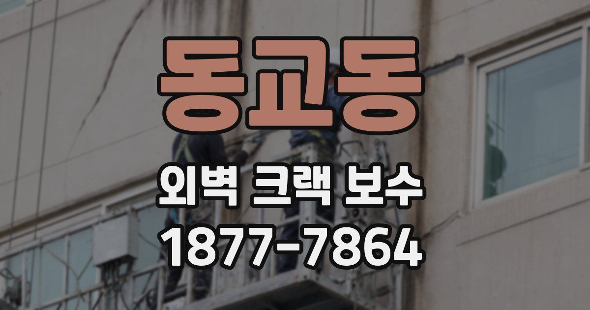 동교동 외벽 크랙 보수