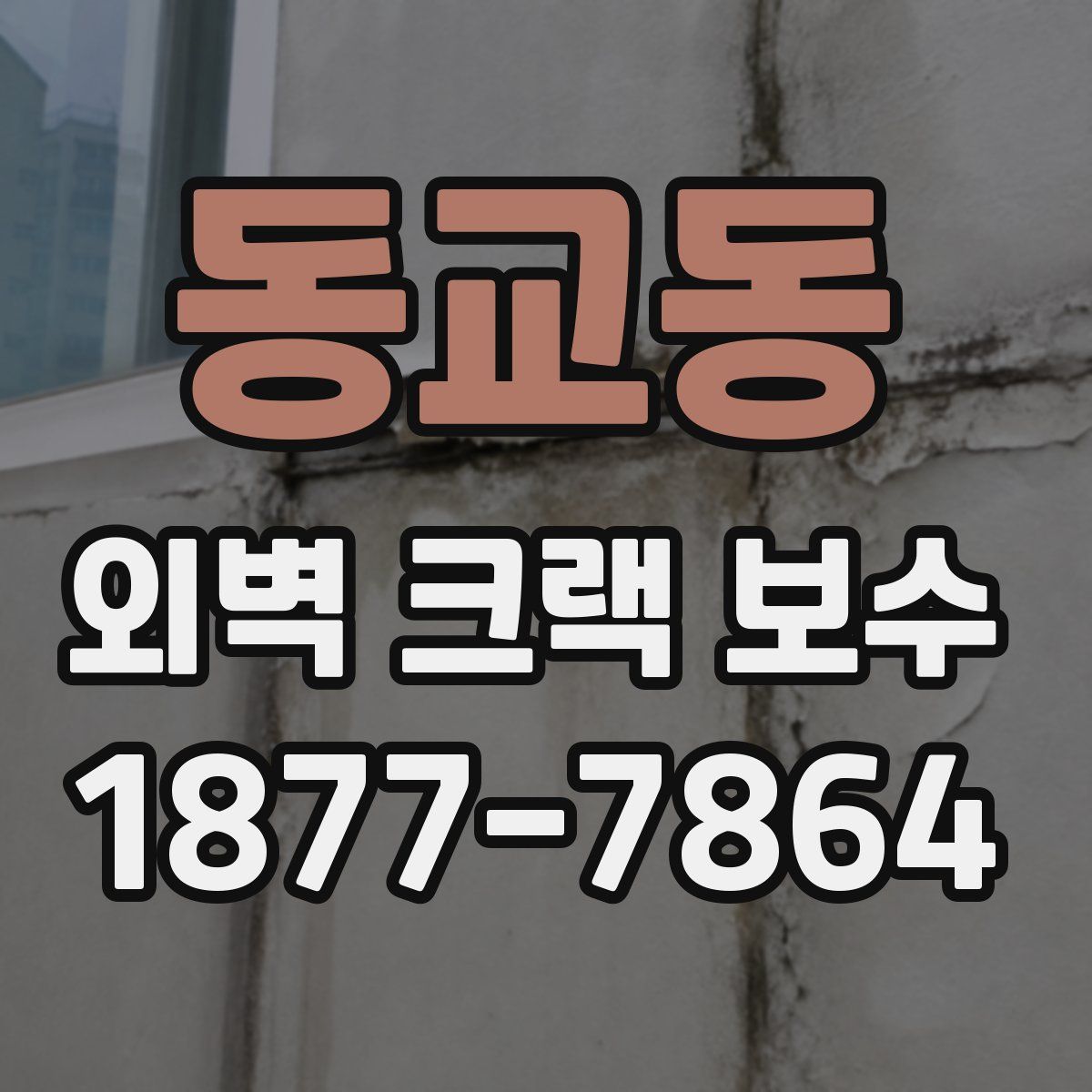 동교동 외벽 크랙 보수