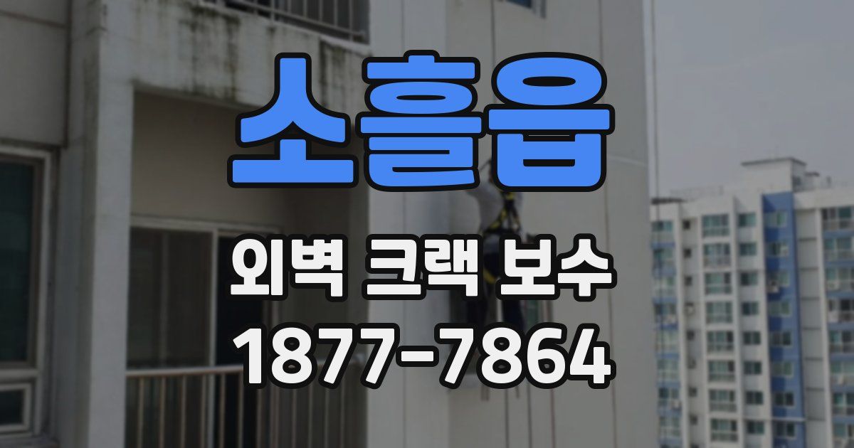 소흘읍 외벽 크랙 보수