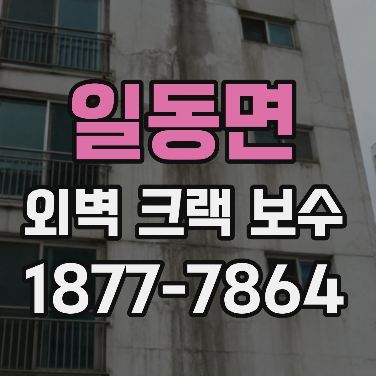 일동면 외벽 크랙 보수
