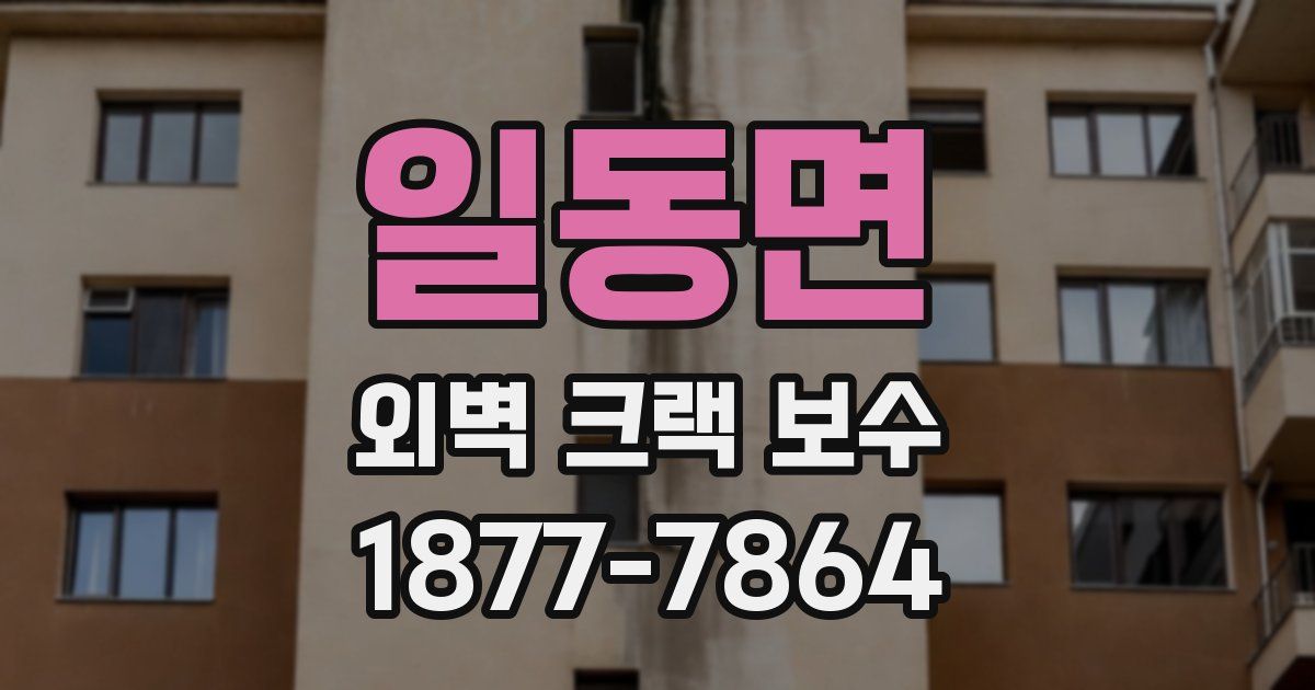 일동면 외벽 크랙 보수