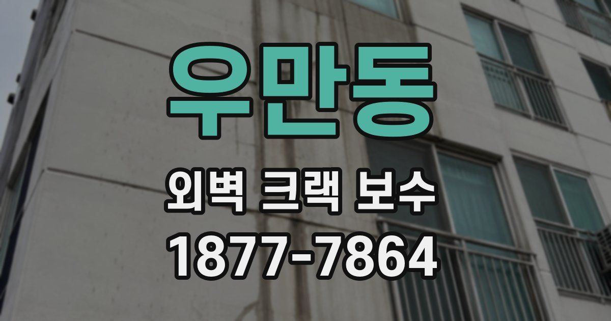 우만동 외벽 크랙 보수