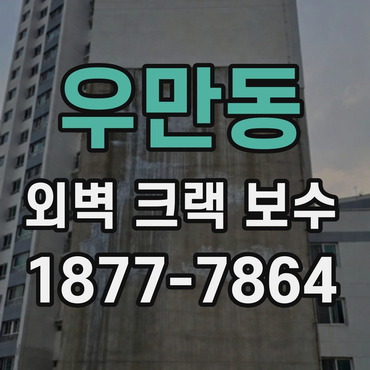 우만동 외벽 크랙 보수