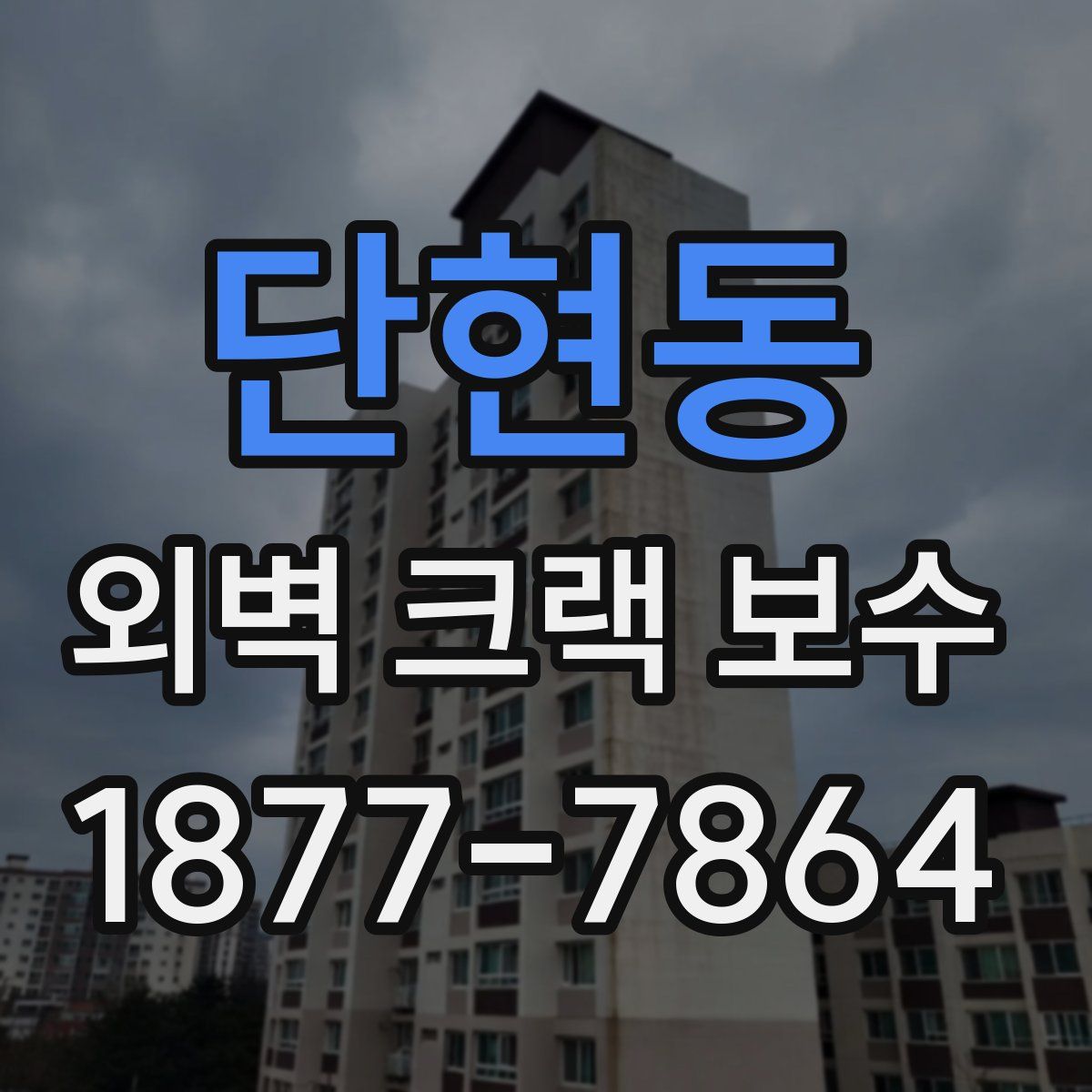 단현동 외벽 크랙 보수