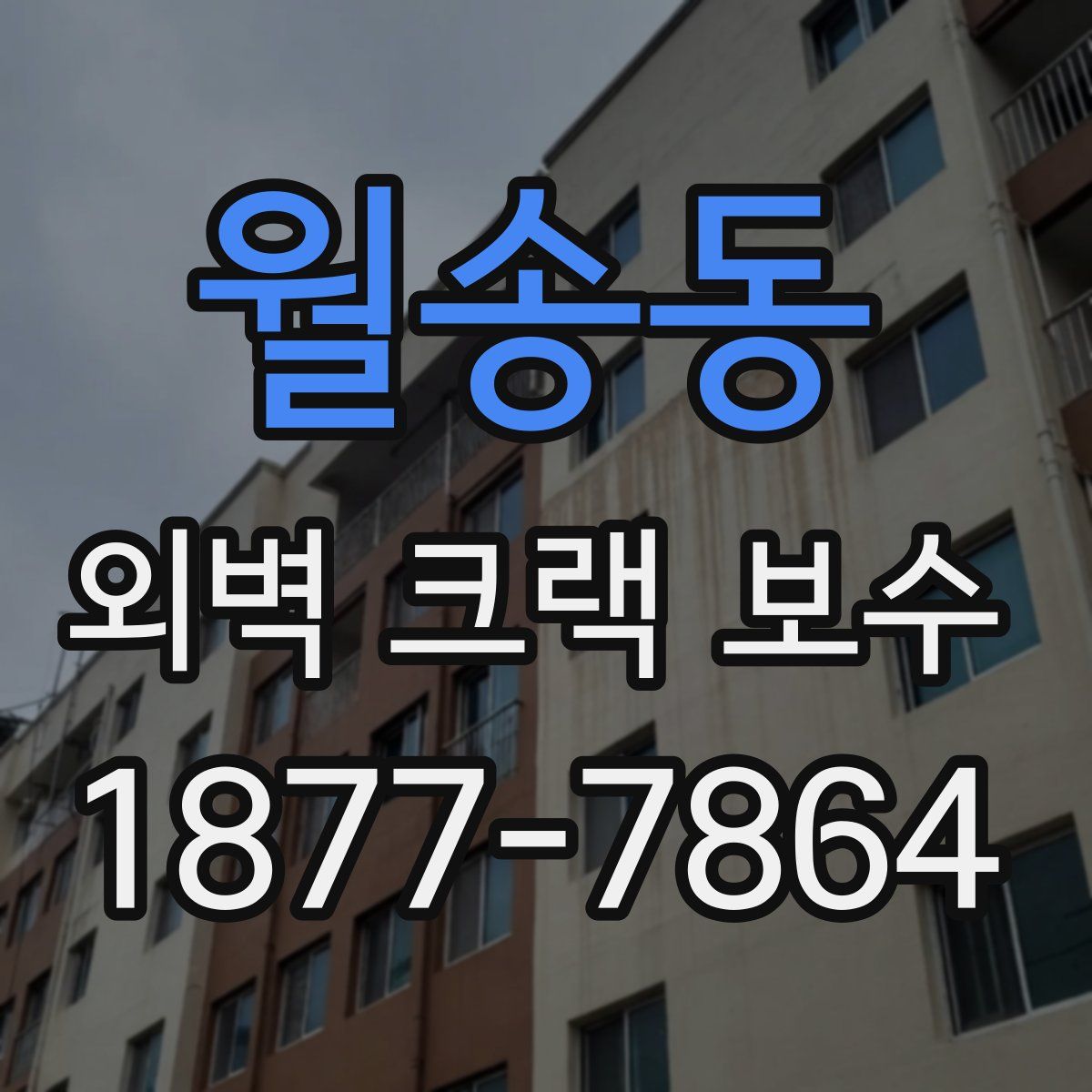 월송동 외벽 크랙 보수