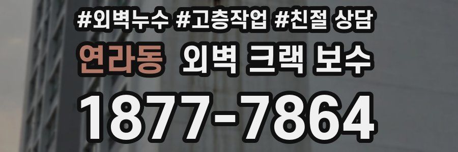 연라동 외벽 크랙 보수