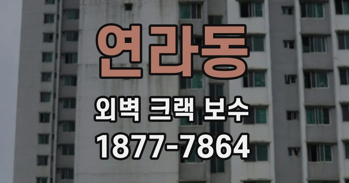연라동 외벽 크랙 보수