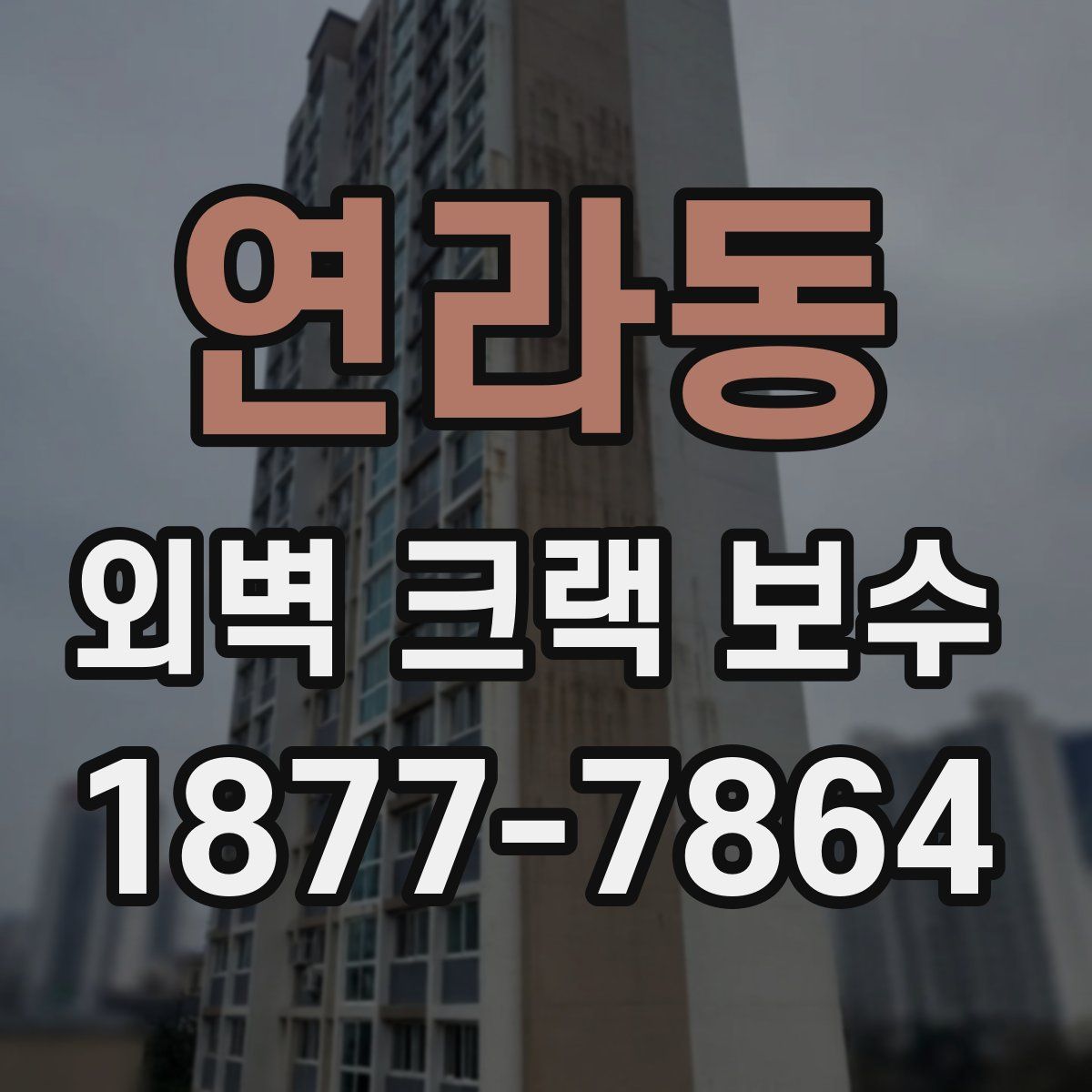 연라동 외벽 크랙 보수