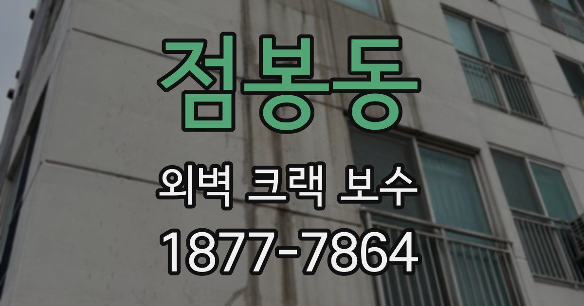 점봉동 외벽 크랙 보수