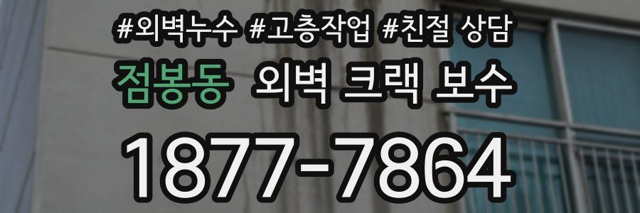 점봉동 외벽 크랙 보수