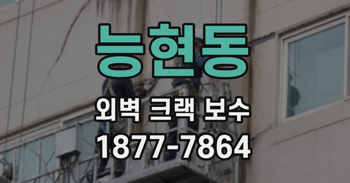 능현동 외벽 크랙 보수
