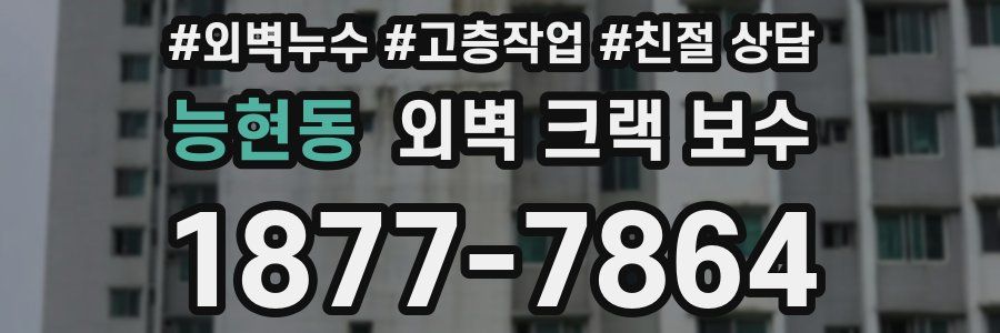 능현동 외벽 크랙 보수