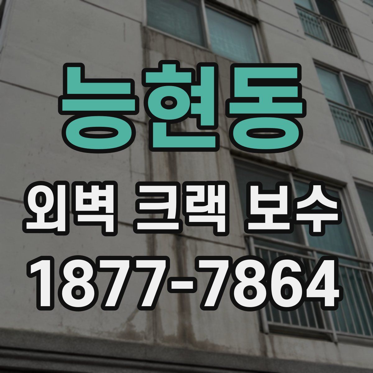 능현동 외벽 크랙 보수