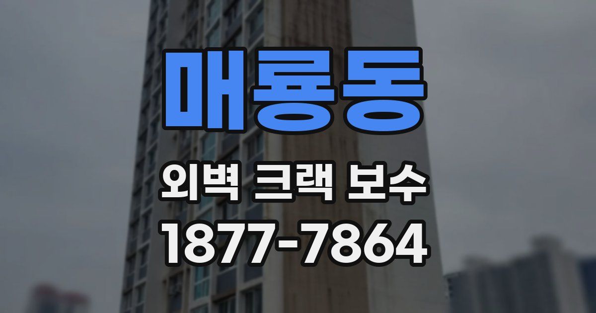 매룡동 외벽 크랙 보수