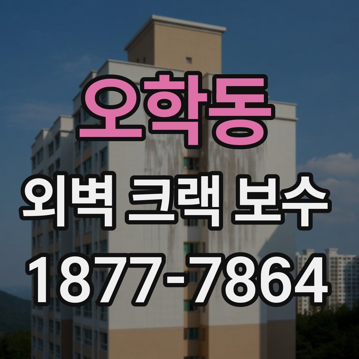 오학동 외벽 크랙 보수