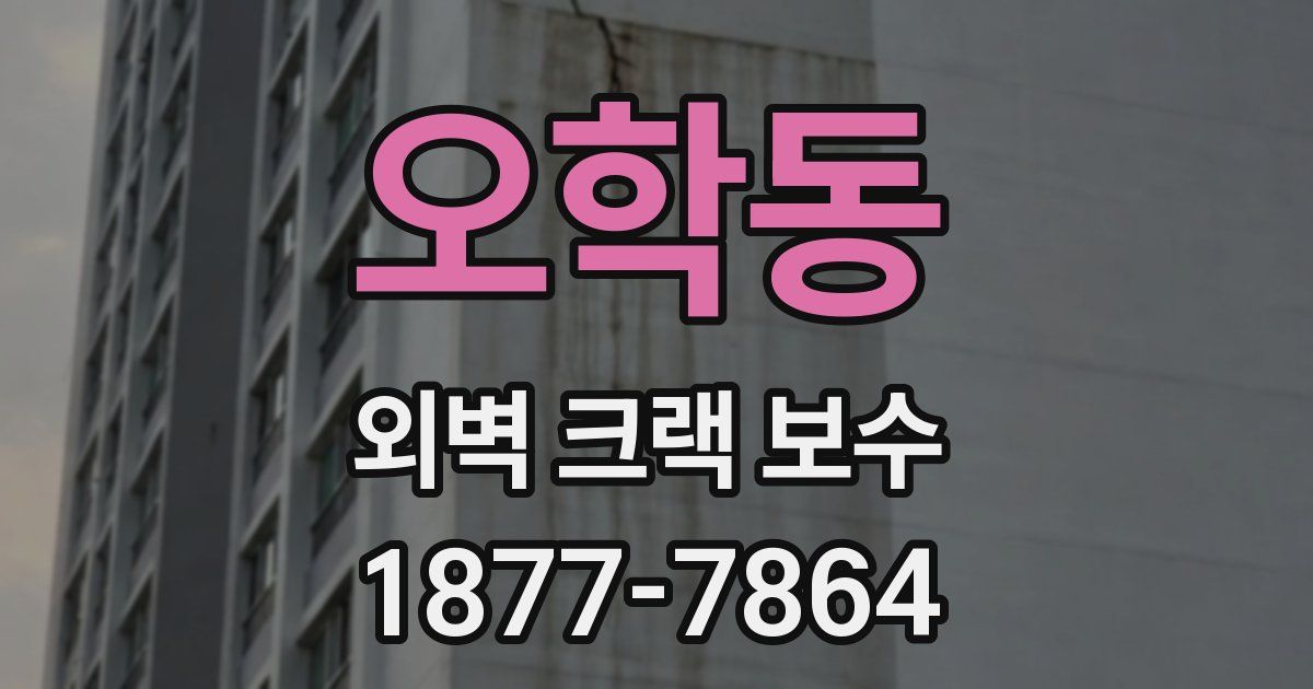 오학동 외벽 크랙 보수