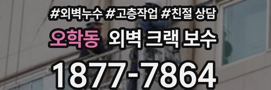 오학동 외벽 크랙 보수