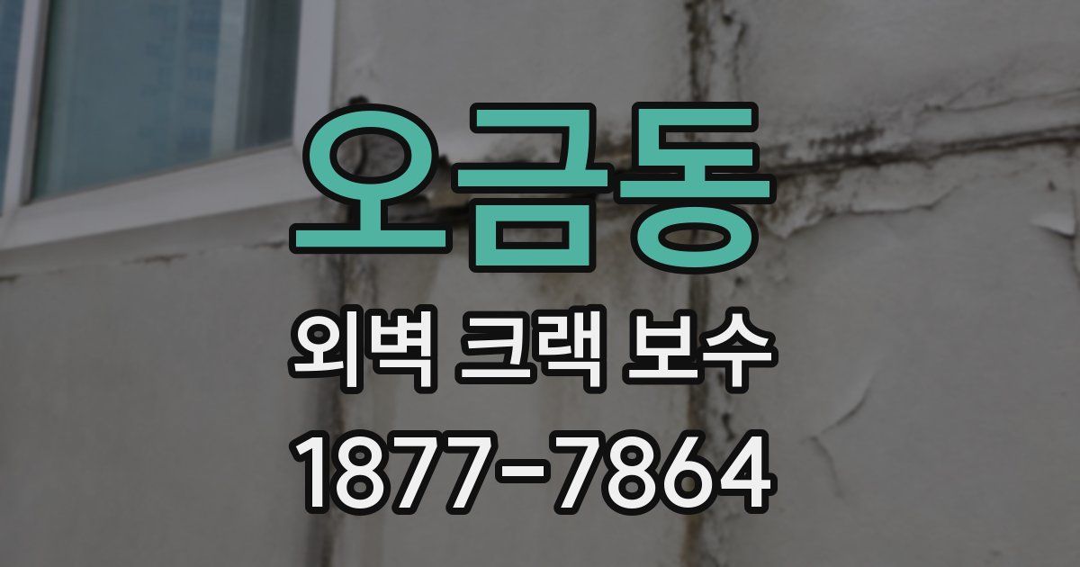 오금동 외벽 크랙 보수