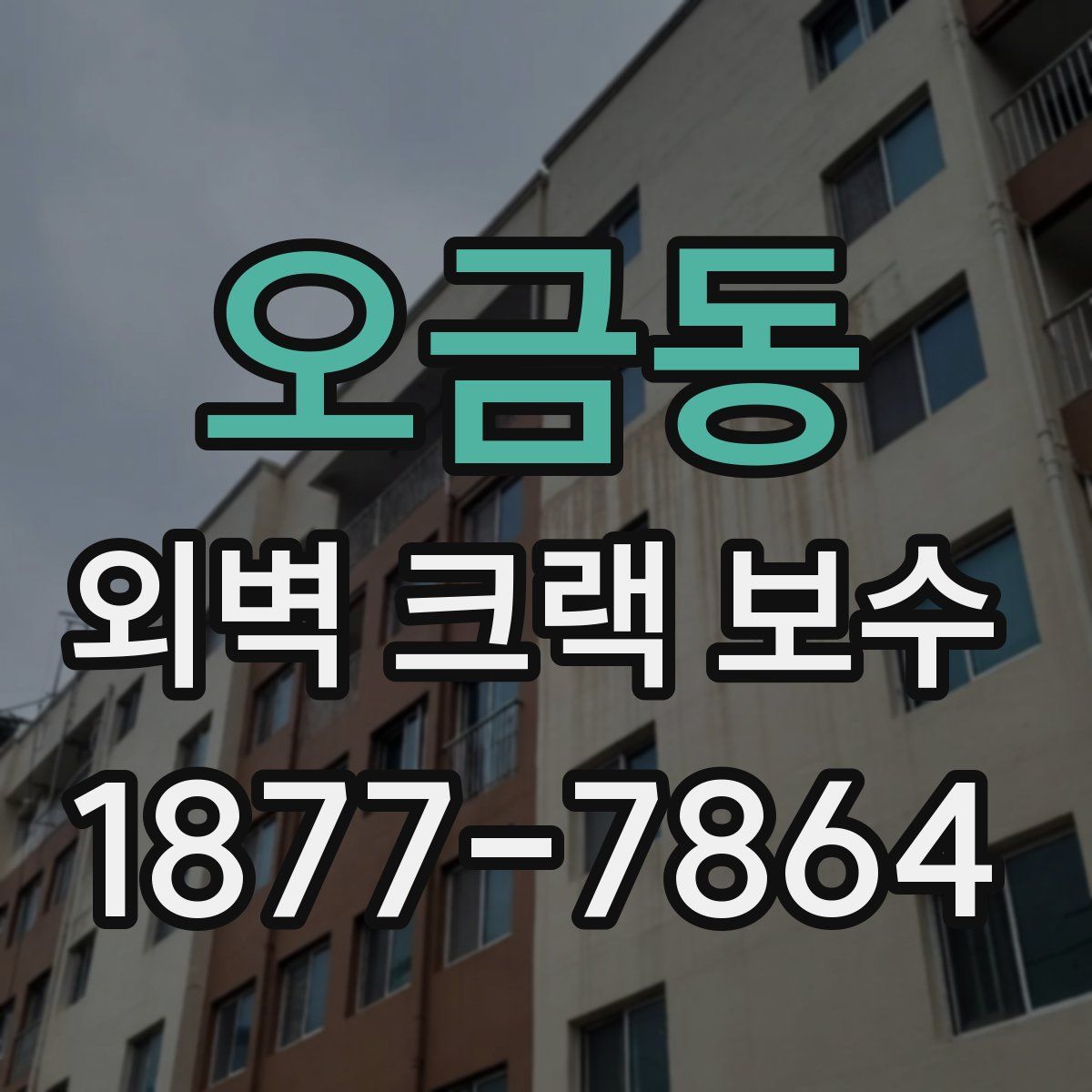 오금동 외벽 크랙 보수