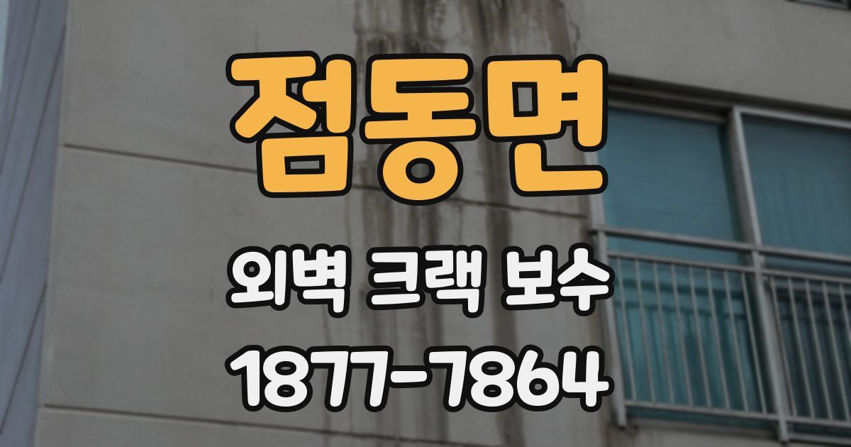 점동면 외벽 크랙 보수