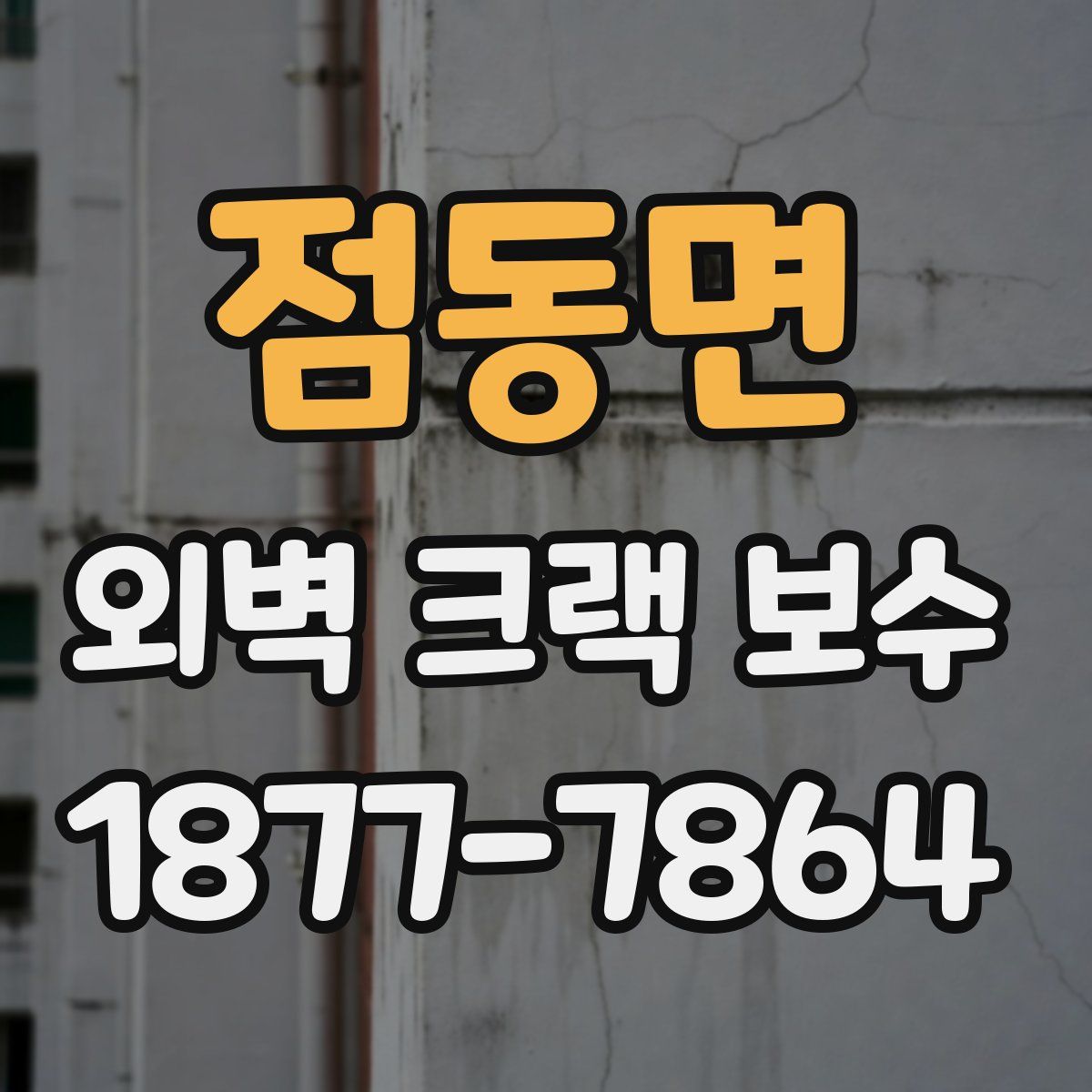 점동면 외벽 크랙 보수