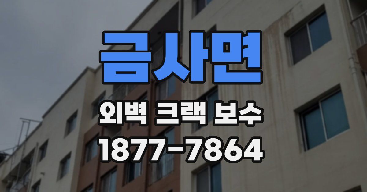 금사면 외벽 크랙 보수