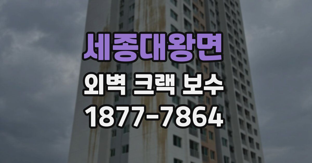 세종대왕면 외벽 크랙 보수
