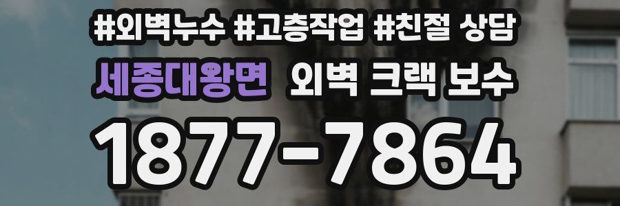 세종대왕면 외벽 크랙 보수