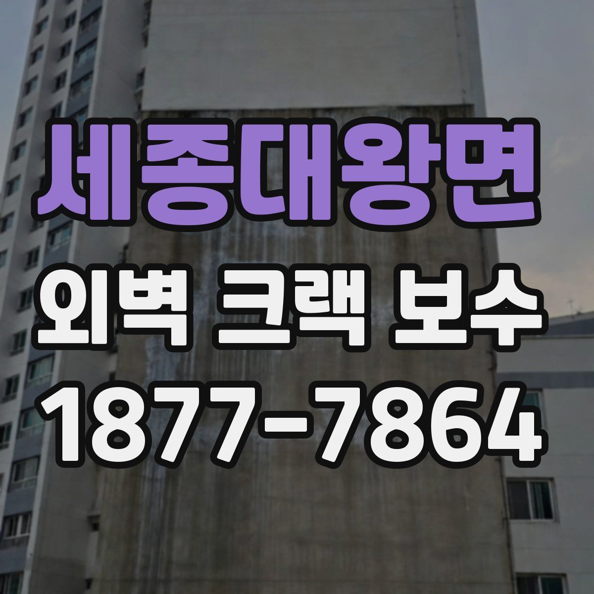 세종대왕면 외벽 크랙 보수