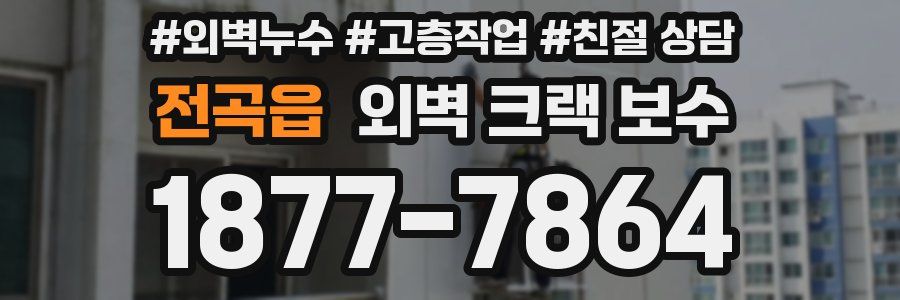 전곡읍 외벽 크랙 보수