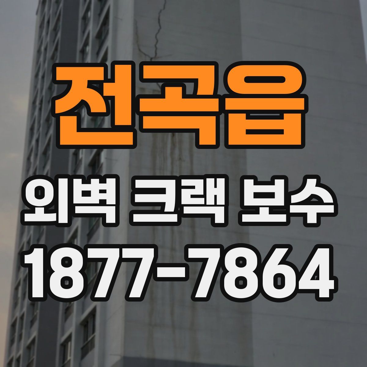 전곡읍 외벽 크랙 보수