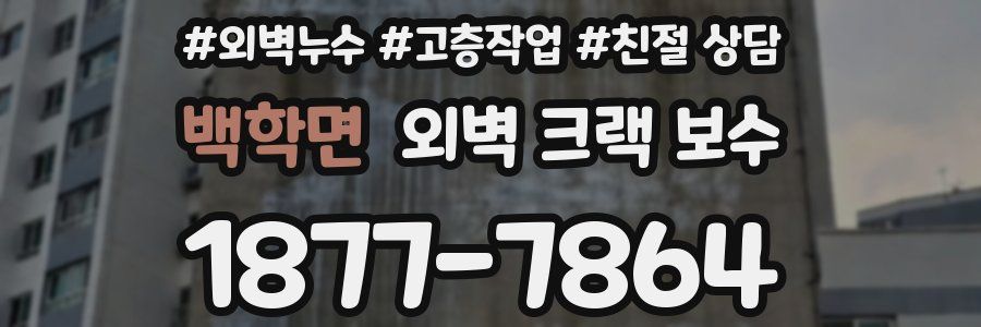 백학면 외벽 크랙 보수