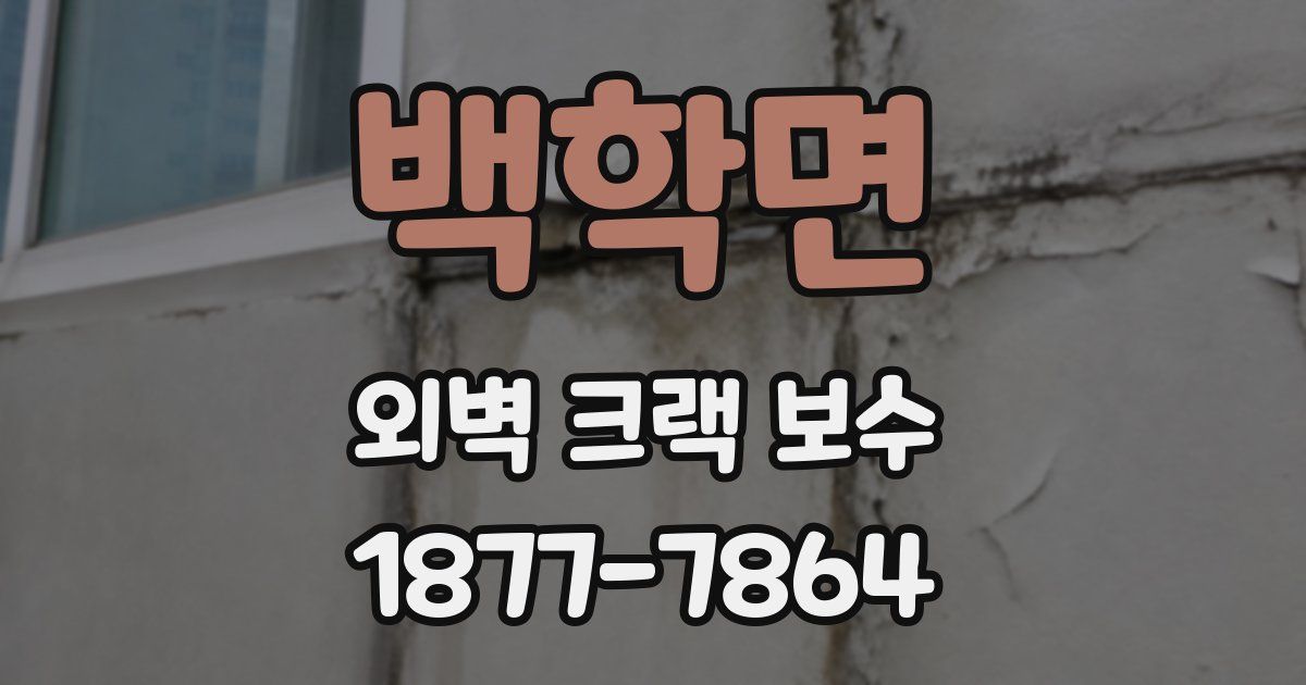 백학면 외벽 크랙 보수
