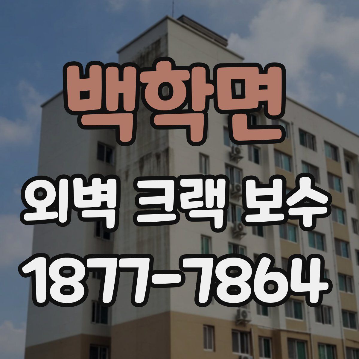 백학면 외벽 크랙 보수