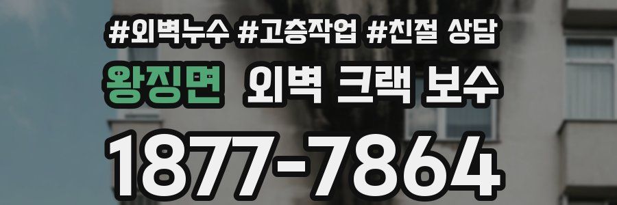 왕징면 외벽 크랙 보수