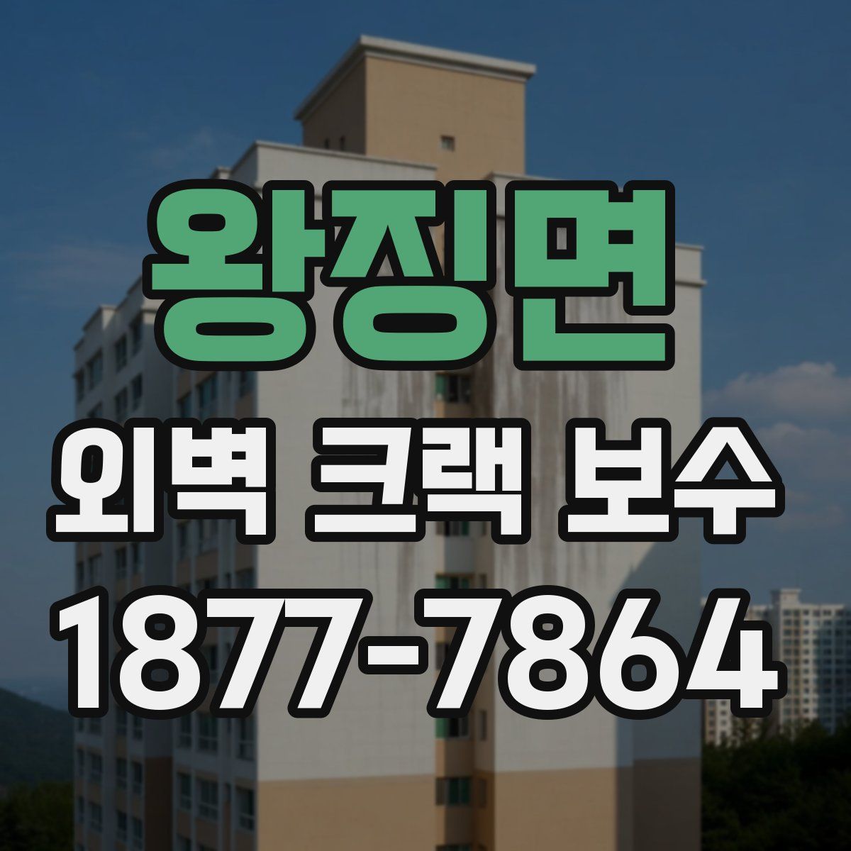 왕징면 외벽 크랙 보수